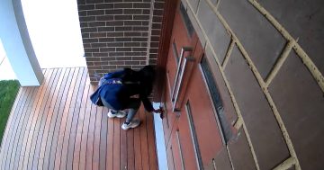 Greens candidate apologises after door cam catches her removing Canberra Liberals pamphlet