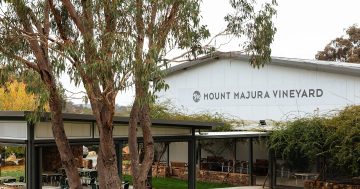 The Forage returns to Mount Majura Vineyard this November