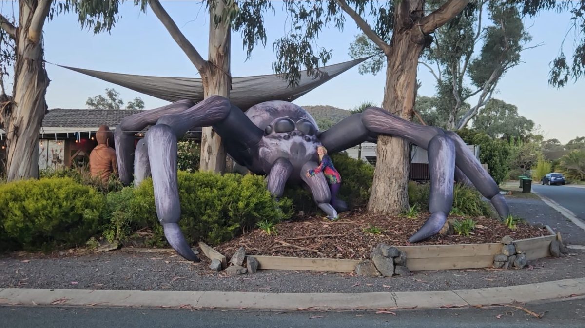 woman with large Halloween spider