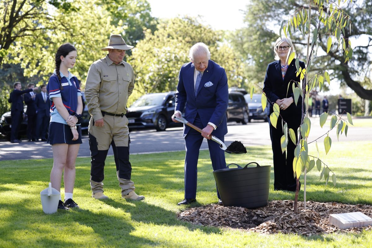 King Charles plants a tree