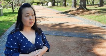 Canberra Liberals pledge $4.4 million to tackle diabetes 'epidemic'