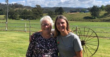 Volunteers, farmers bringing Eurobodalla's koalas back from the brink