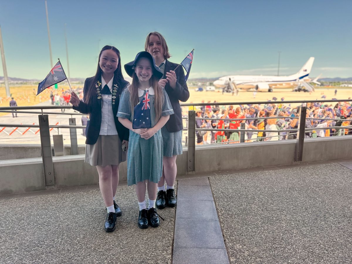 children with flags