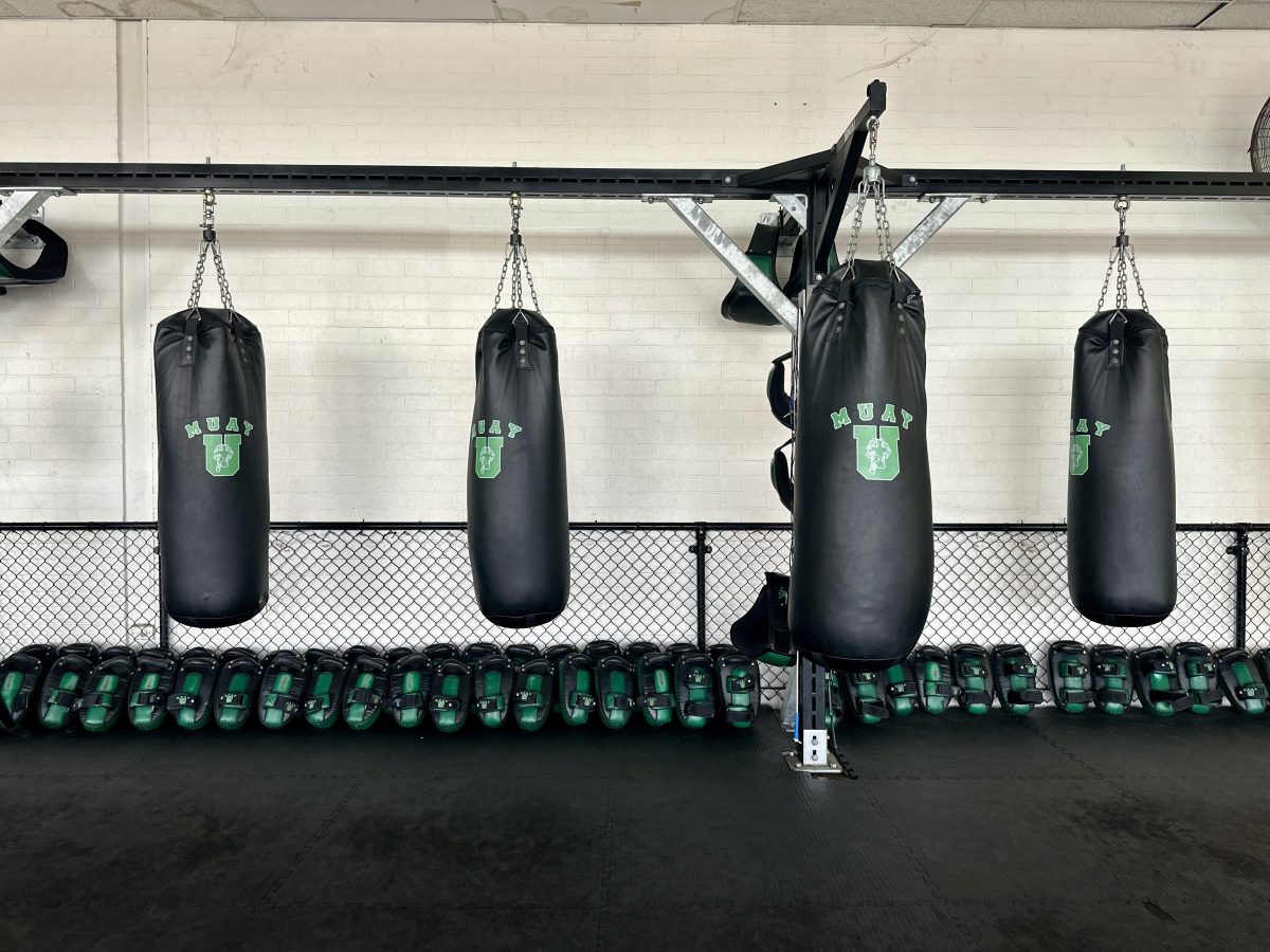 punching bags 