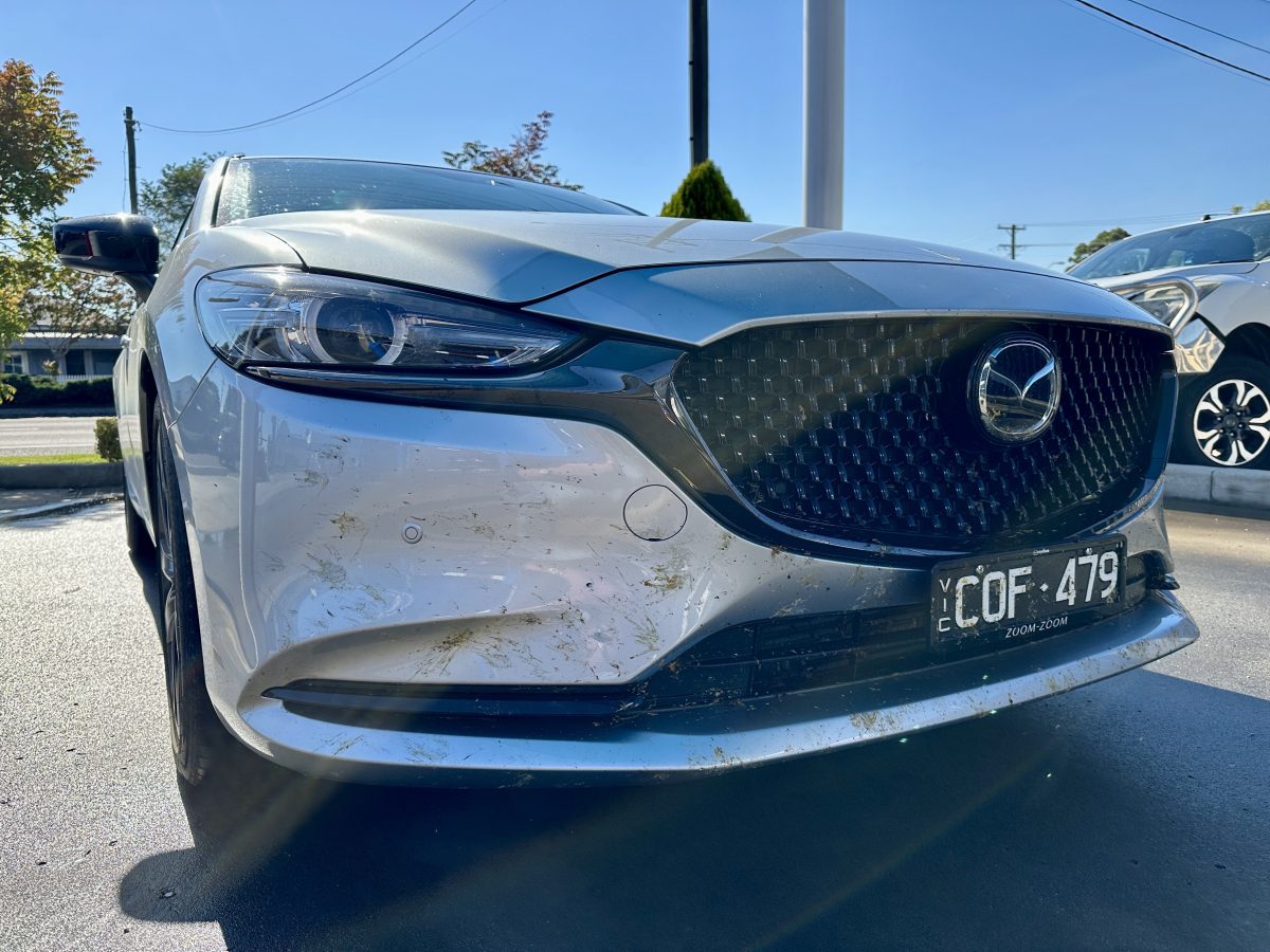 Bug splatters on the front of a car