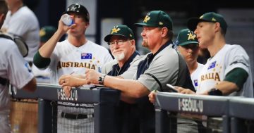 Canberra Cavalry welcomes new team manager for 2024/25 season