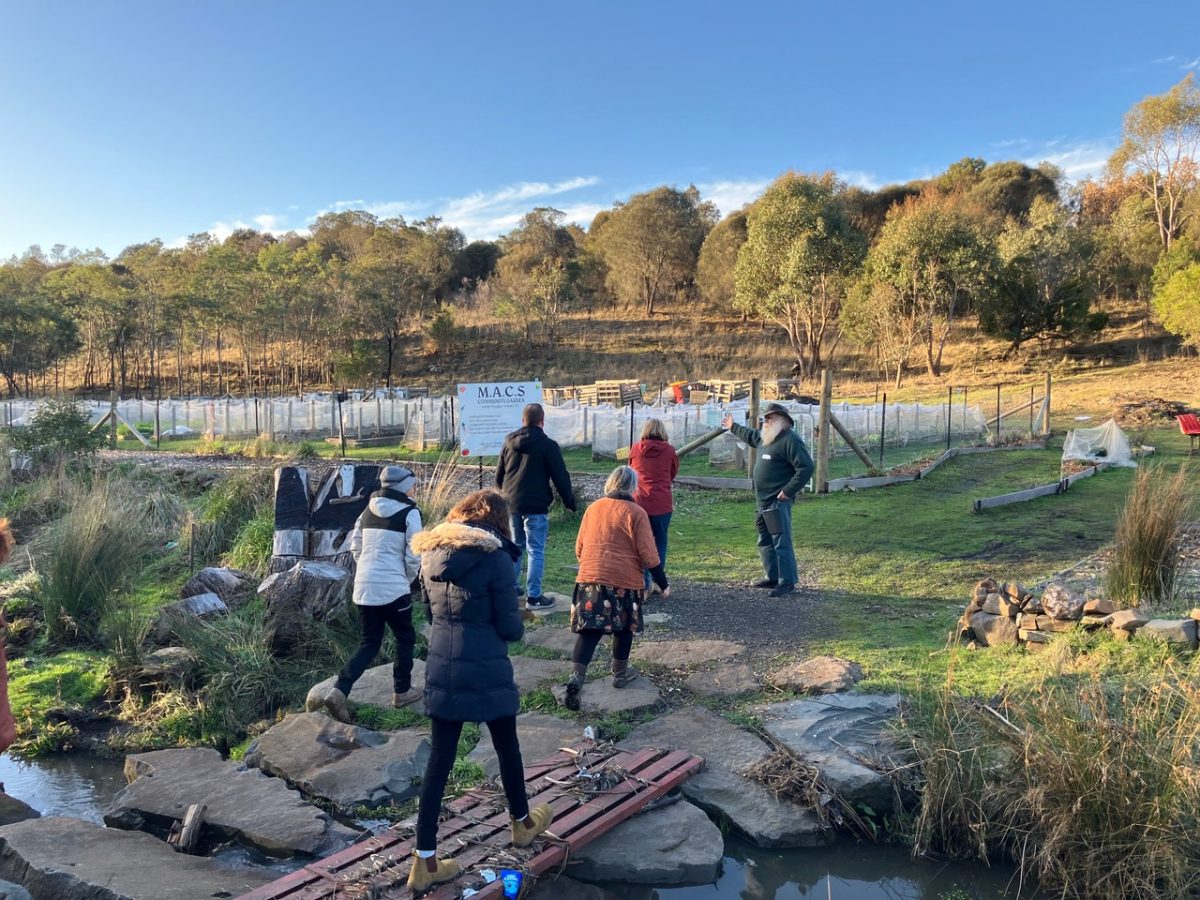 Group taking a tour through a garden