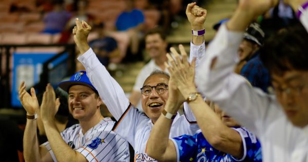 Bases loaded with entertainment for the Canberra Cavalry's upcoming themed nights