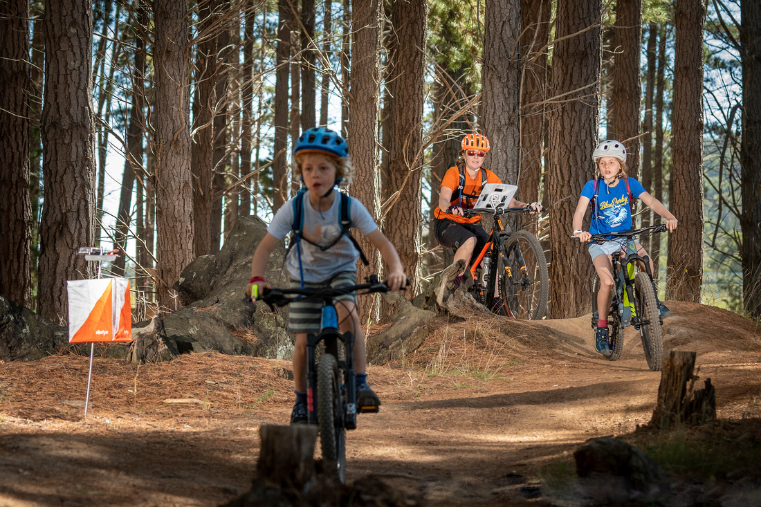 Children riding mountain bikes through forest