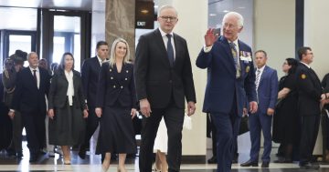 Royal visit 2024 live blog: 'You are not my King!' Senator Thorpe disrupts proceedings at Parliament House