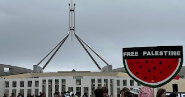 Pro-Palestine rally outside parliament as PM delivers speech inside