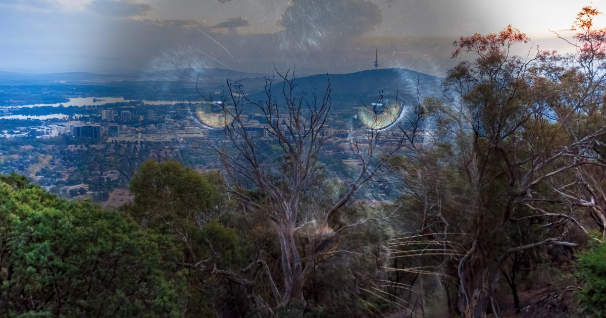 Does Mount Ainslie have a resident panther? One hiker swears it does | Riotact