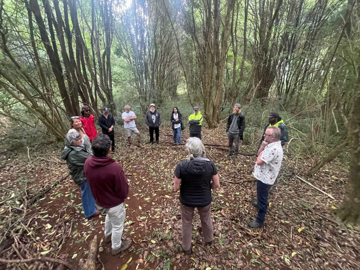 Group of people stand in a circle in bushland