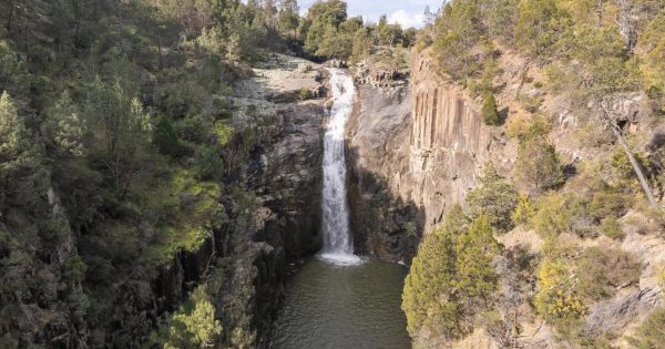 Netflix film crew falls in love with 'Canberra's Kakadu' while shooting survivalist thriller