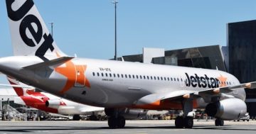 Labor to work with SA for low-cost flights between Adelaide and Canberra