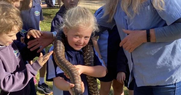 Iconic Batemans Bay tourist attraction, Birdland, closes its gates