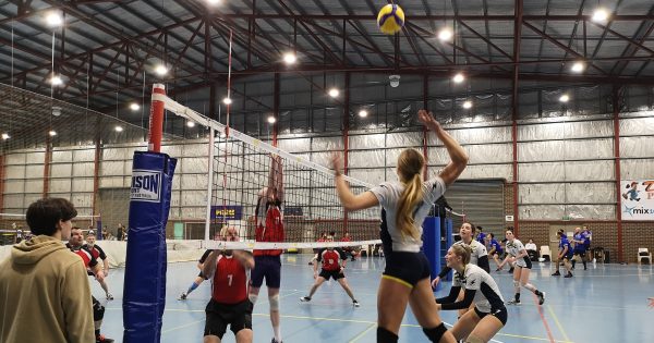 Good Neighbour was love at first spike for this long-time volleyballer