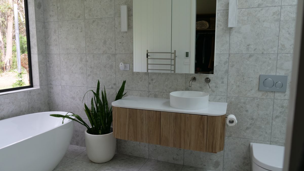 Newly renovated bathroom with plant sitting beside bathtub.