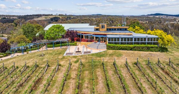 Contentious Character to sell Wamboin property to focus on urban winery plans at Dairy Road