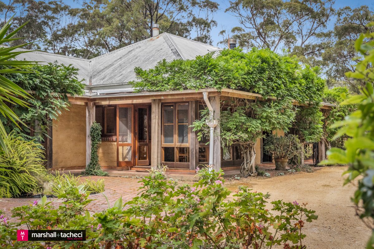 house in a bush setting