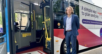 Transport Canberra apologises for disastrous first day of MyWay+ system