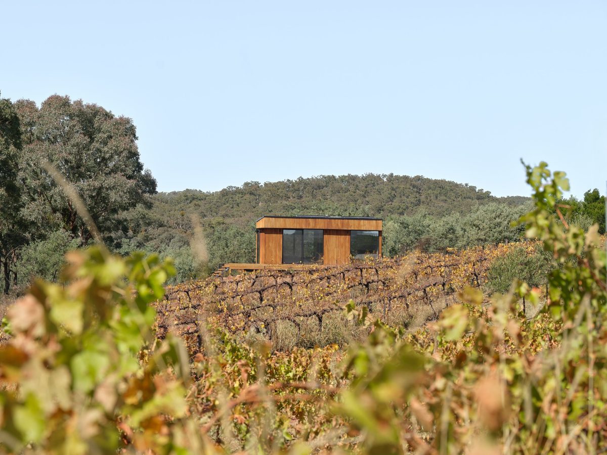 A view across the vines to a tiny house with a hill behind.