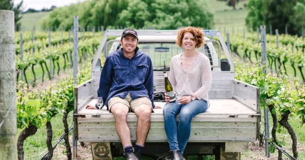 Four Winds Vineyard wins big at Melbourne Royal wine show