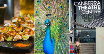 QUIZ: Where did Narrabundah's peacocks come from? Plus 9 other questions this week