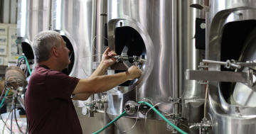 From homebrewing to award-winning beers, Zierholz keeps traditional German brewing alive in Canberra