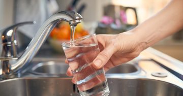 Synthetic chemicals detected in Bungendore's water supply