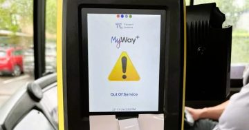 Government was warned new MyWay+ ticketing system wasn't up to the job