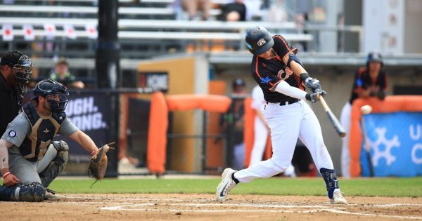 Canberra Cavalry’s on course for the Australian Baseball League finals