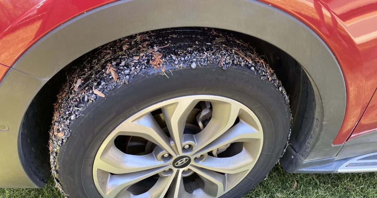 Canberra motorists left in a sticky mess after heatwave ‘melts’ three major roads | Riotact