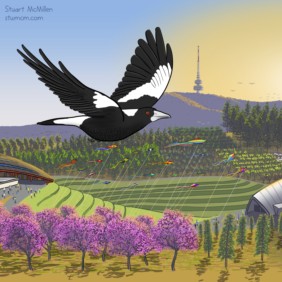 Cartoon of a magpie over the national arboretum in Canberra with Telstra Tower in the background.