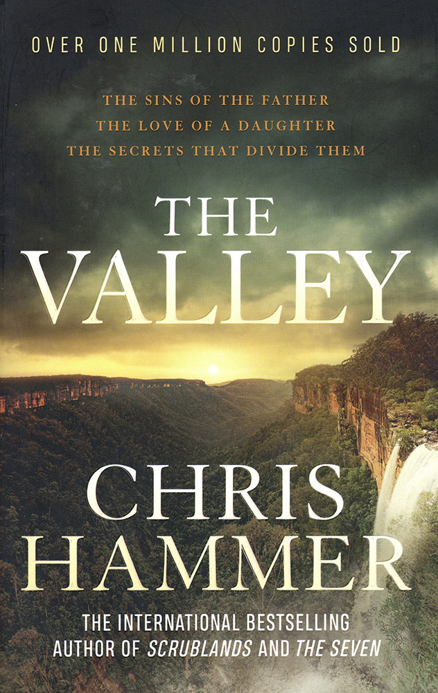 Cover of The Valley by Chris Hammer.