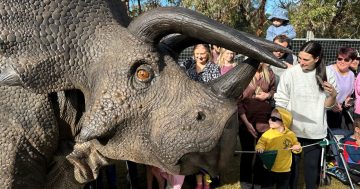 Life-size dinosaurs to take over Black Mountain Peninsula this January