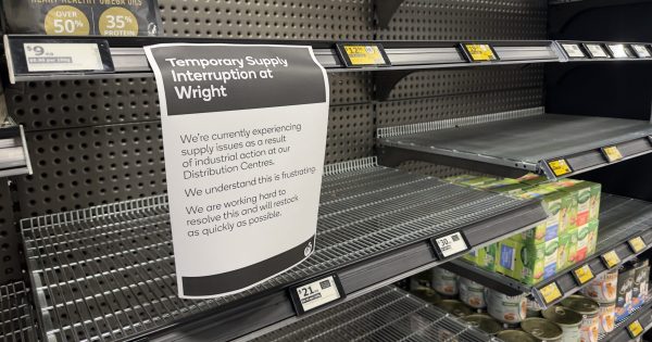 Empty shelves at Woolworths a boon for independent supermarkets as warehouse strike continues