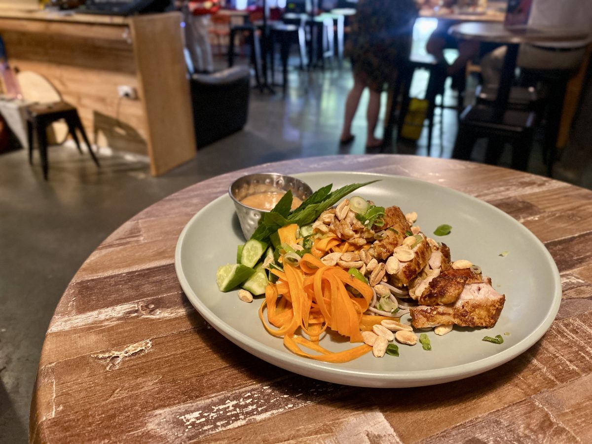 A plate of chicken and noodles.