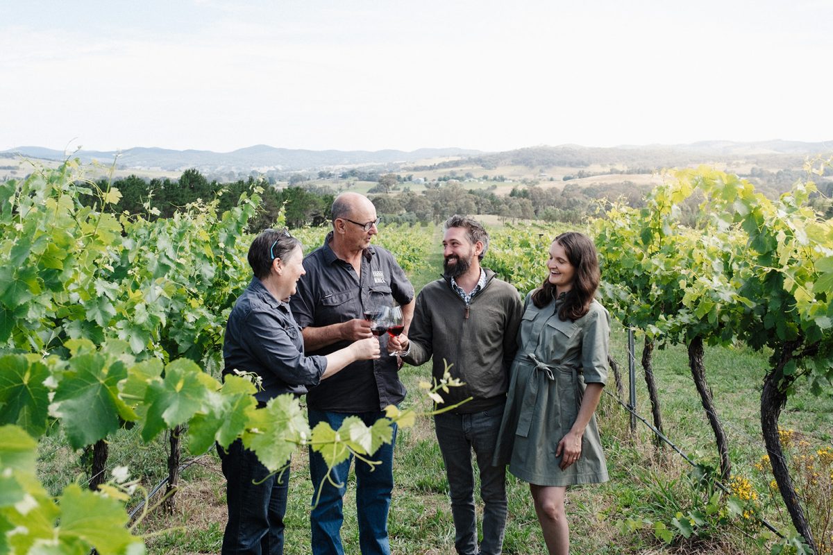 Four people stand in a lush green vineyard holding glasses of wine.