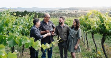 Yarrh Wines owners hand over winemaking legacy to young guns