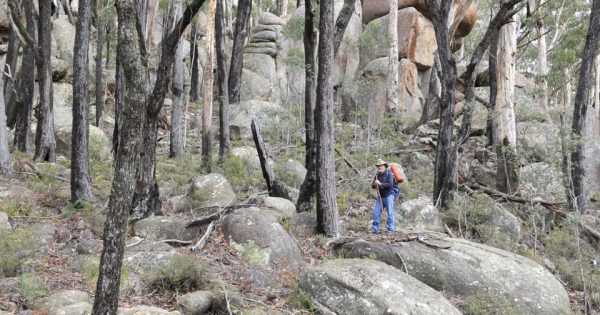 Naturalist and author John Blay shares some of southeast NSW's awesome secrets