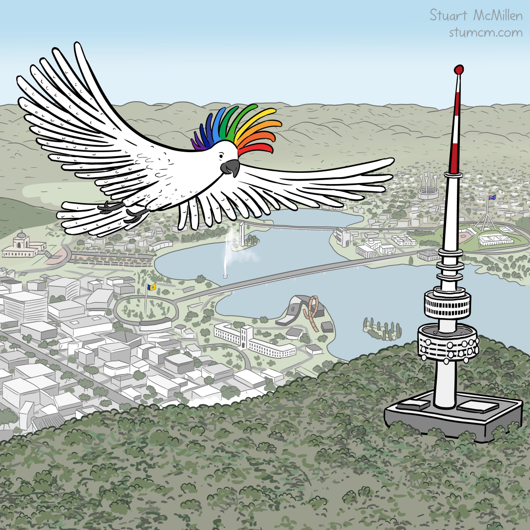 Cartoon of a cockatoo over Canberra.