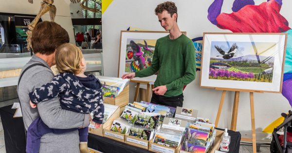 Comic-strip artist going out on a wing to capture more than 50 favourite Canberra birds