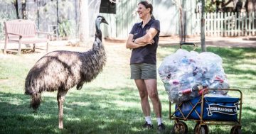 Sue's epic love for the zoo is helping animals in need all over the world