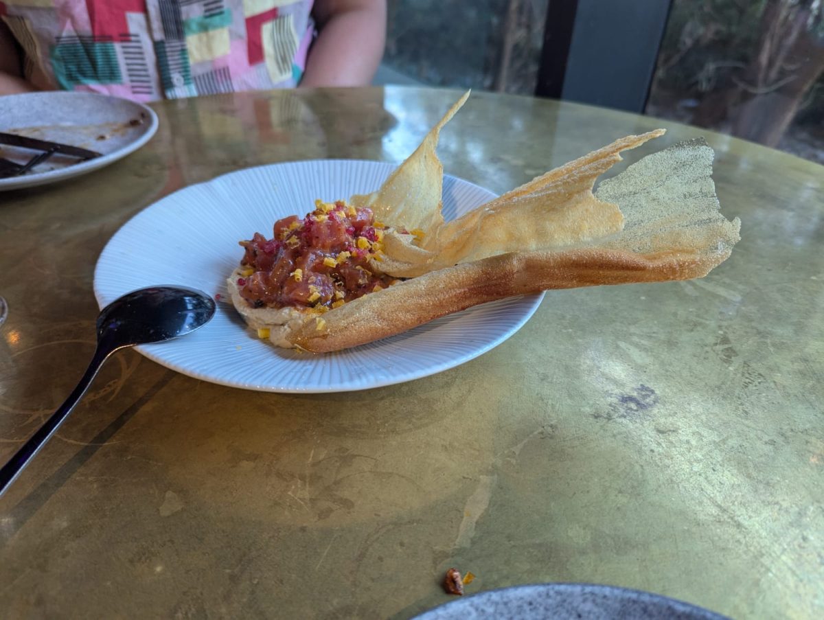 Tuna tartare on hummus with long, thin wafers extending from the plate.