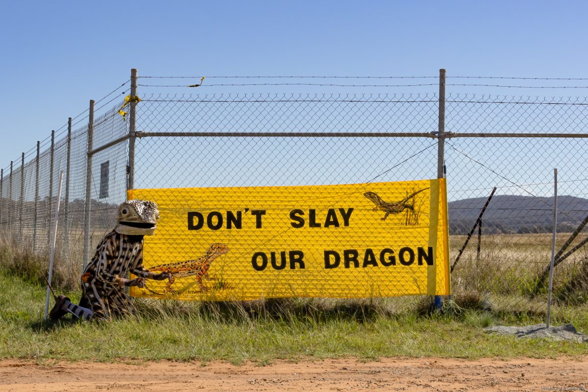 protest at Canberra Airport