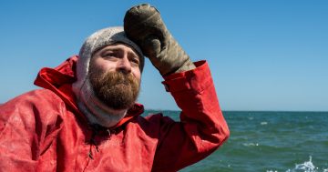 Canberra conservator on the voyage of a lifetime to Antarctic explorers' bases