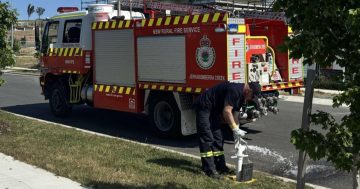 'Don't hide your hydrant': obstructions seen covering up fire hydrants