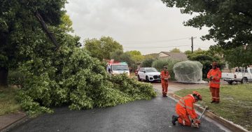 Clean-up ongoing after horror storm sweeps across Canberra region