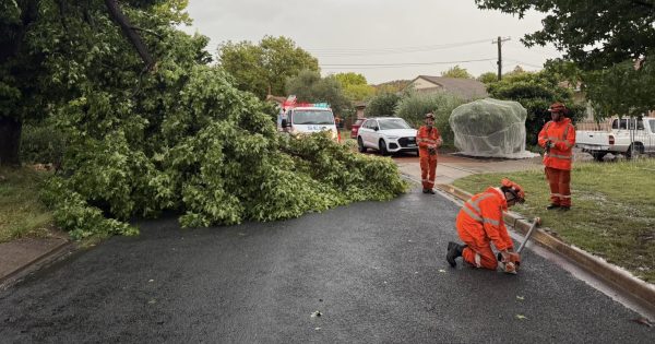 Clean-up ongoing after horror storm sweeps across Canberra region